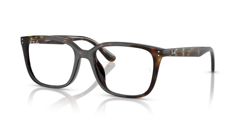 Ray-Ban RX7248D in Havana - Alternate View