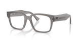 Transparent Grey / Clear (8431)