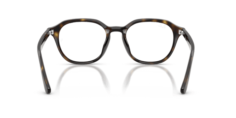 Ray-Ban RX7259D in Havana / Clear (2012) - Alternate View