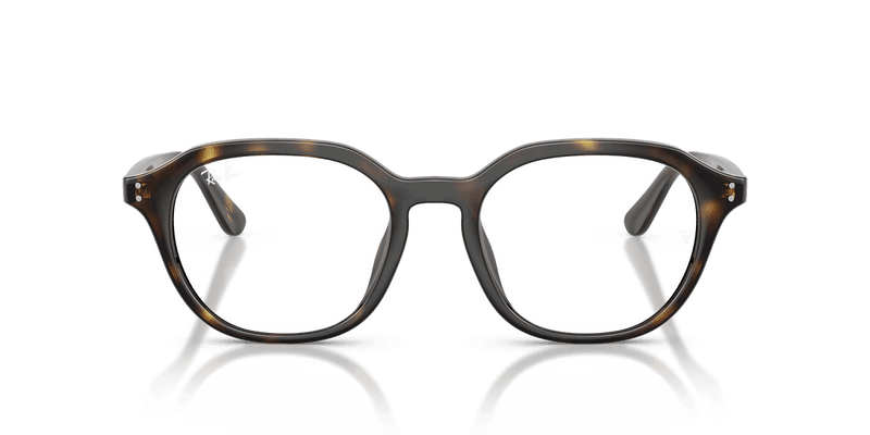 Ray-Ban RX7259D in Havana / Clear (2012) - Alternate View