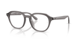 Transparent Dark Grey / Clear (8257)