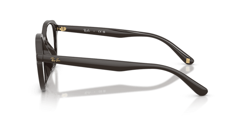 Ray-Ban RX7259D in Full Dark Brown (8493) - Temple Detail