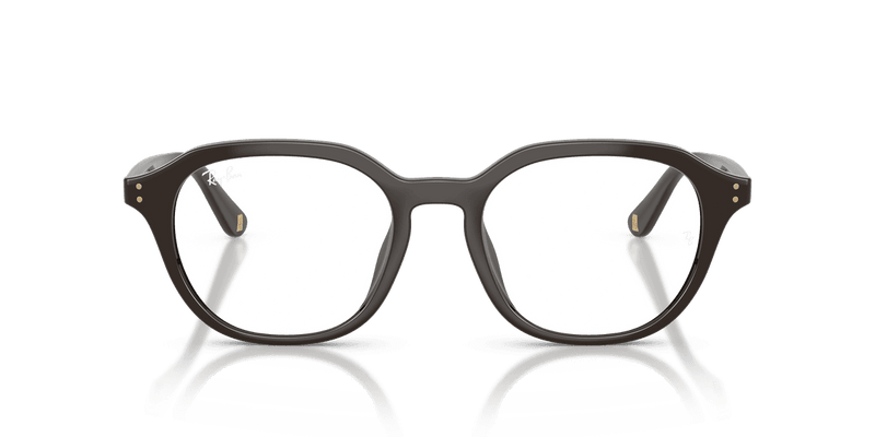 Ray-Ban RX7259D in Full Dark Brown (8493) - Side View