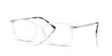 Transparent / Bio Demo Lens (2001)