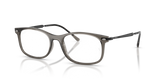 Transparent Grey / Bio Demo Lens (8463)