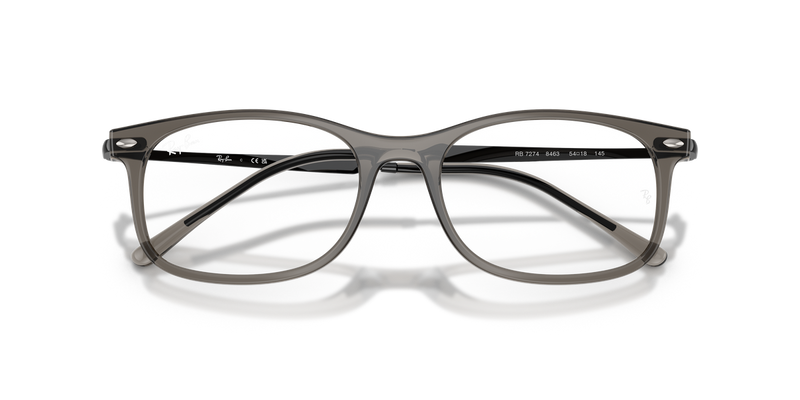 Ray-Ban RX7274 in Transparent Grey - Alternate View