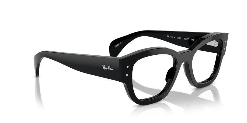 Ray-Ban JORGE in Black - Alternate View