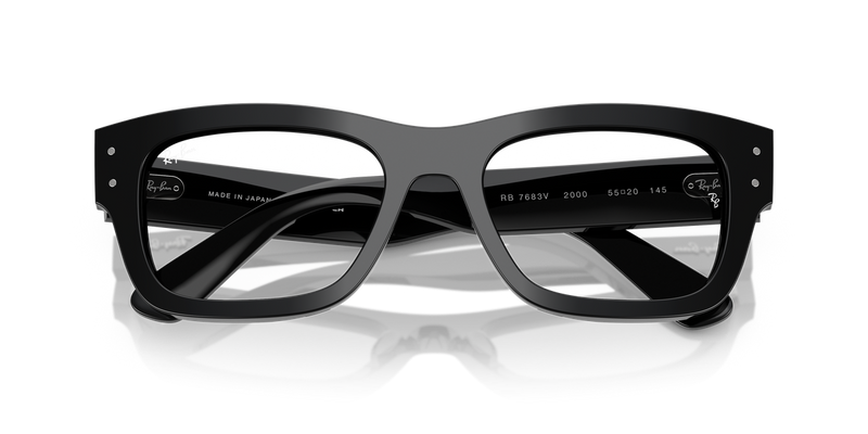 Ray-Ban JOSEPH in Black - Side View