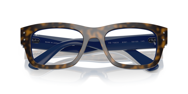 Ray-Ban JOSEPH in Havana Grey On Gradient Blu - Alternate View