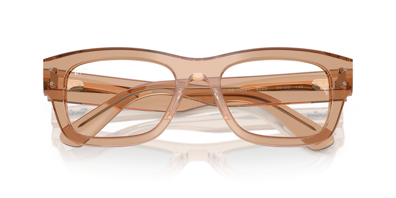 Ray-Ban JOSEPH in Transparent Light Brown - Alternate View