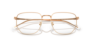 Rosegold / Clear (1248)