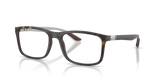 Matte Havana / Clear (5200)