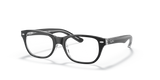Black On Transparent / Clear (3529)