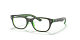 Brown On Green Fluo / Clear (3665)