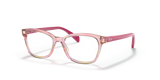 Striped Fuxia / Clear (3806)