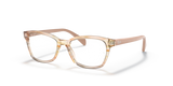 Brown Striped Multicolor / Clear (3809)