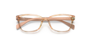 Brown Striped Multicolor / Clear (3809)