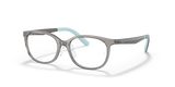Transparent Grey / Clear (3908)