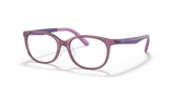 Transparent Purple / Clear (3909)