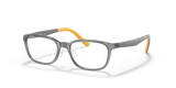 Transparent Grey / Clear (3774)