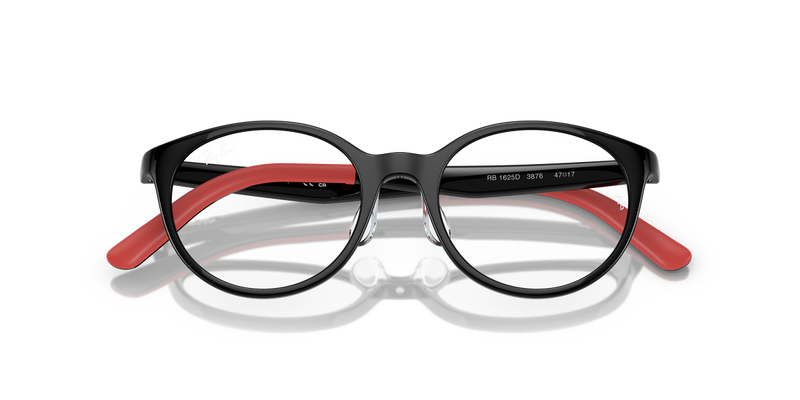 Ray-Ban Youth 0RY1625D in Black - Alternate View