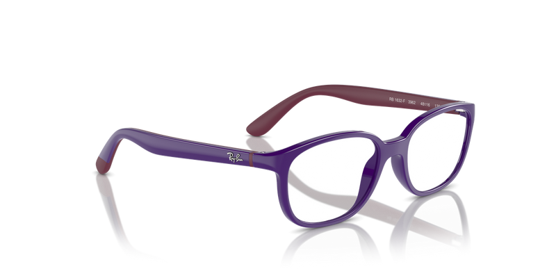 Ray-Ban Youth 0RY1632F in Violet On Bordeaux - Alternate View