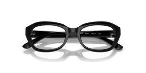 Black / Clear (3542)