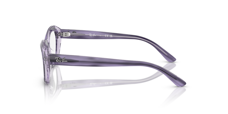 Ray-Ban Youth 0RY1636 in Striped Violet On Transparent Violet - Alternate View