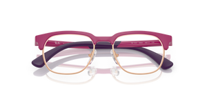 Fucsia On Rose Gold / Clear (3933)