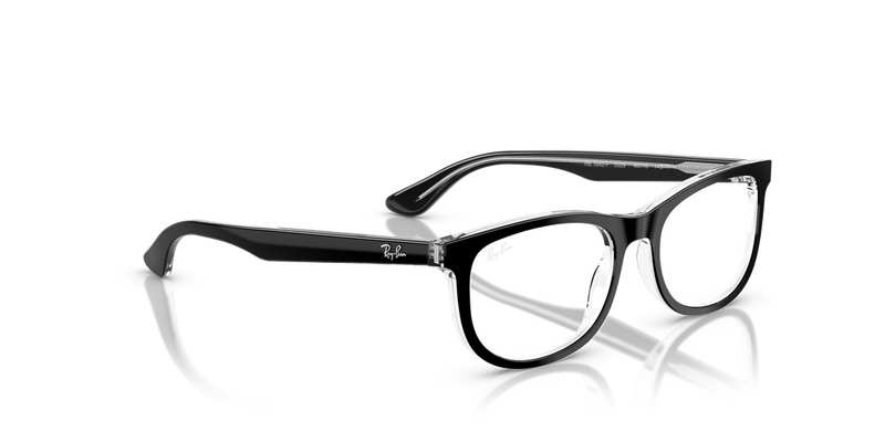 Ray-Ban Youth 0RY1642F in Black On Transparent - Alternate View