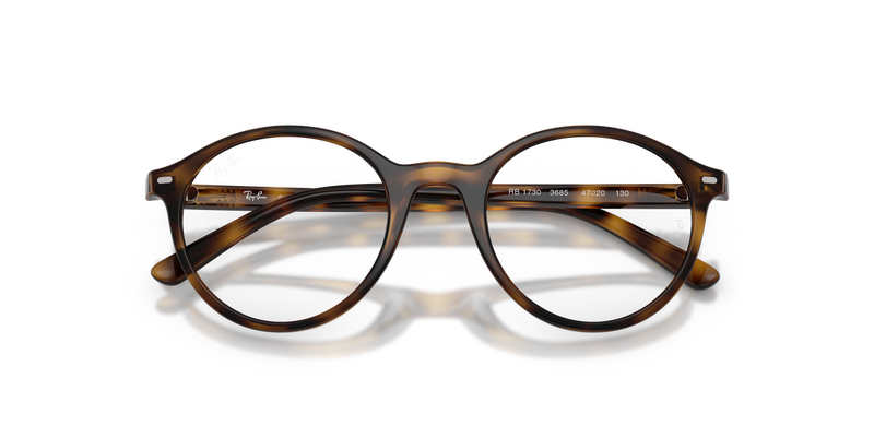 Ray-Ban Youth RY1730 in Havana - Alternate View