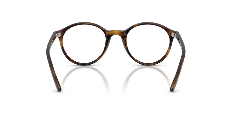 Ray-Ban Youth RY1730 in Havana - Alternate View