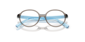 Transparent Grey / Clear (7535)