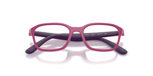 Fucsia & Rubber Violet / Clear (3933)