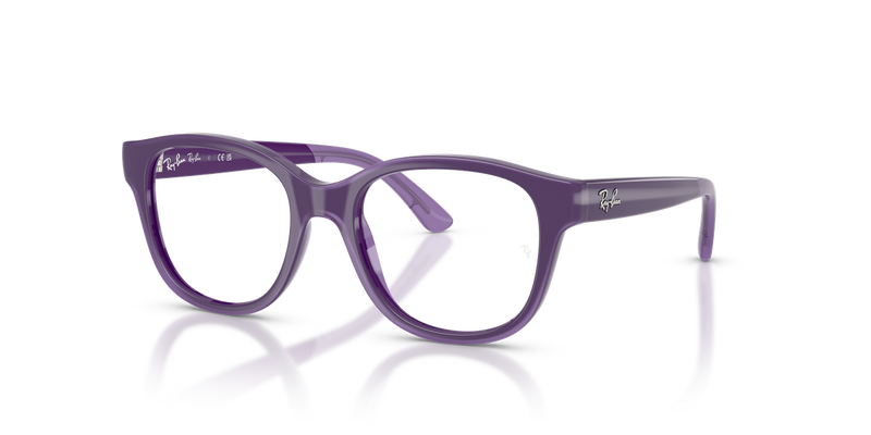 Ray-Ban Youth 0RY1950 in Violet On Transparent Violet - Front View