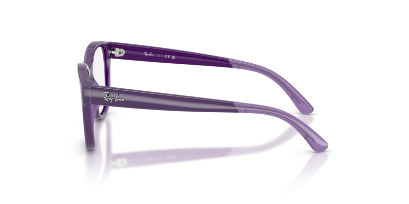 Ray-Ban Youth 0RY1950 in Violet On Transparent Violet - Back View
