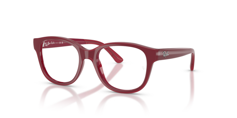 Ray-Ban Youth 0RY1950 in Fucsia On Transparent Fucsia - Alternate View