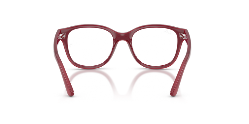Ray-Ban Youth 0RY1950 in Fucsia On Transparent Fucsia - Alternate View