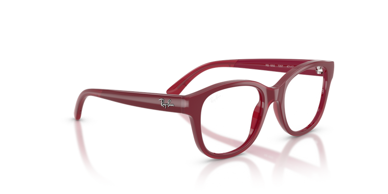 Ray-Ban Youth 0RY1950 in Fucsia On Transparent Fucsia - Alternate View