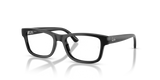 Black / Clear (7544)