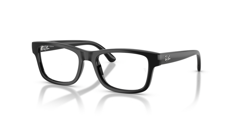 Ray-Ban Youth RY1951 in Black - Alternate View