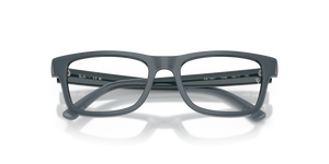 Grey / Clear (7546)