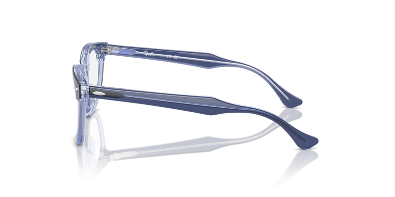 Ray-Ban Youth 0RY9098V in Top Violet On Transparent Violet - Alternate View