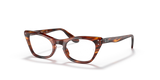 Striped Havana / Clear (3888)