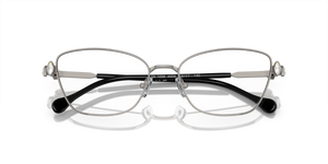 Gunmetal / Demo Lens (4009)