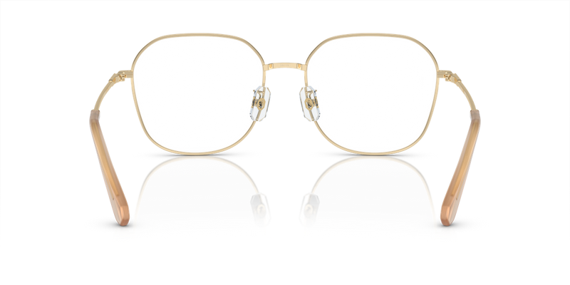 Swarovski SK1009D in Pale Gold / Demo Lens (4013) - Temple Detail