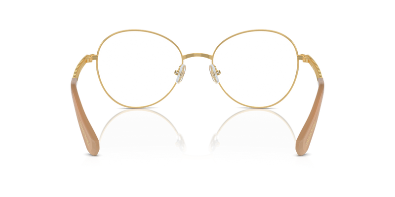 Swarovski SK1013 in Gold / Demo Lens (4004) - Temple Detail