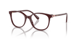 Solid Burgundy (1008)