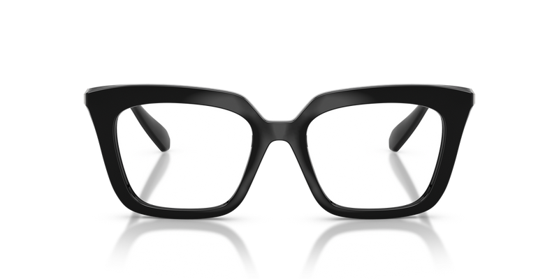 Swarovski SK2043 in Black - Alternate View