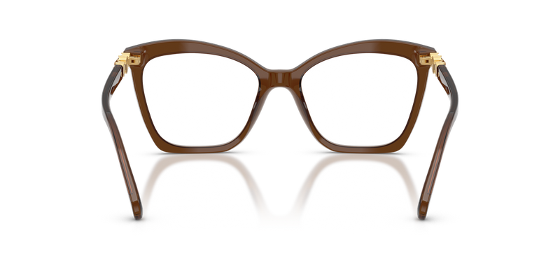 Swarovski SK2053 in Transparent Brown / Demo Lens (1084) - Alternate View